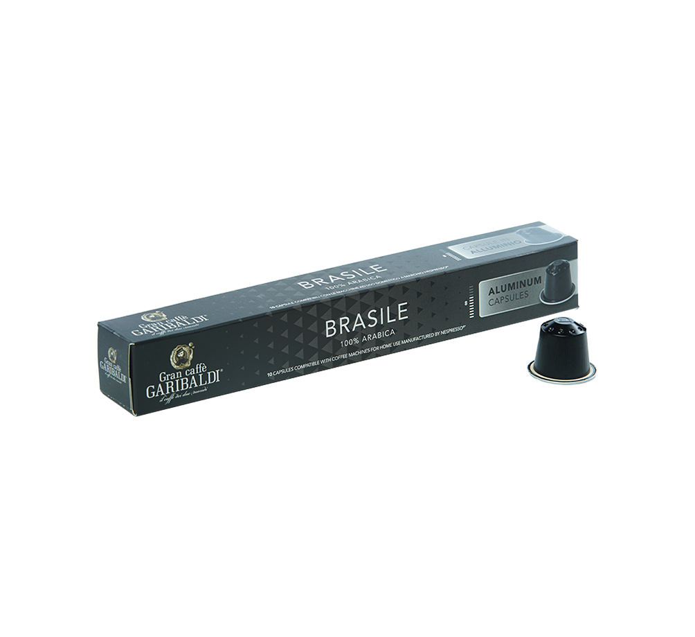 Garibaldi Brasile
