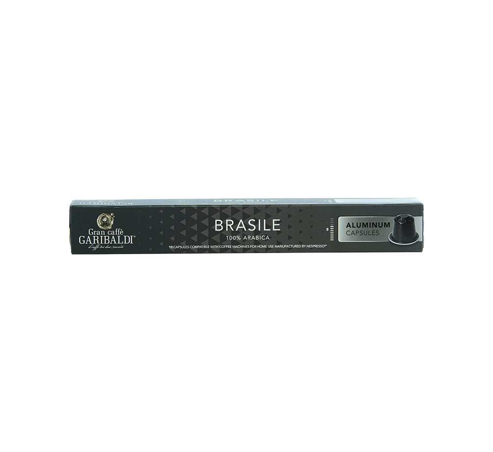 Garibaldi Brasile